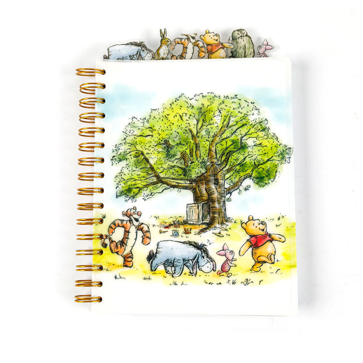 Неліктен спиральдық дәптерлер жазу үшін ең сенімді таңдау болып табылады?